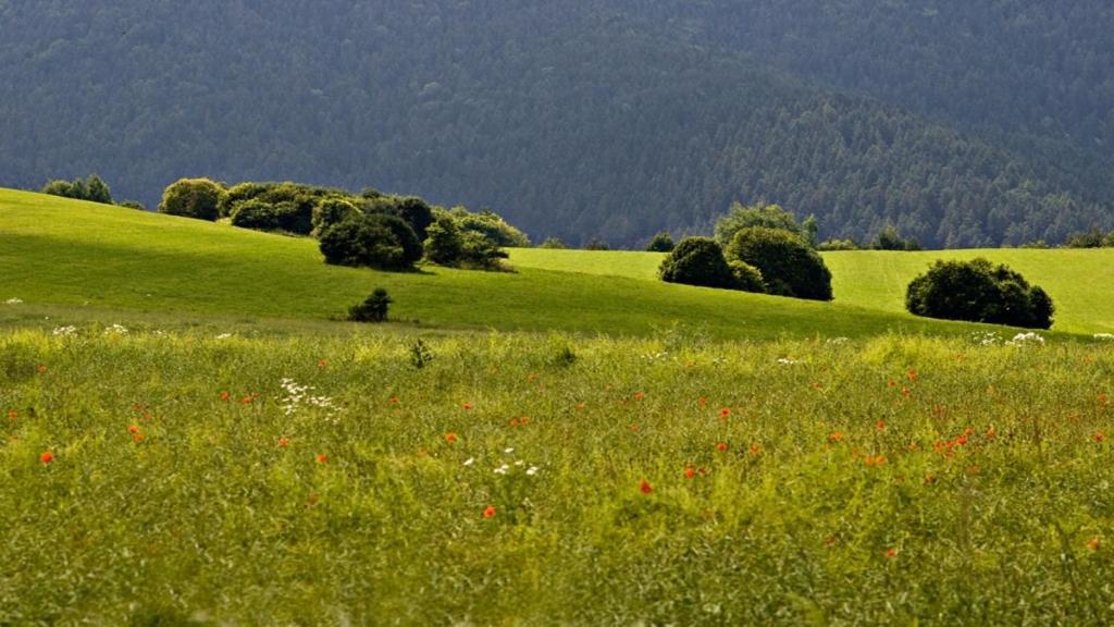 Penzion Mlynárov Dvor Dubrava Exterior foto